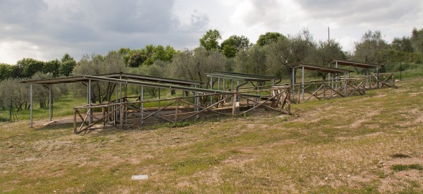 379_foto_2