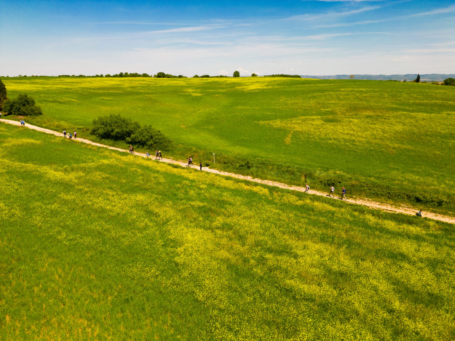 DJI_0886-1